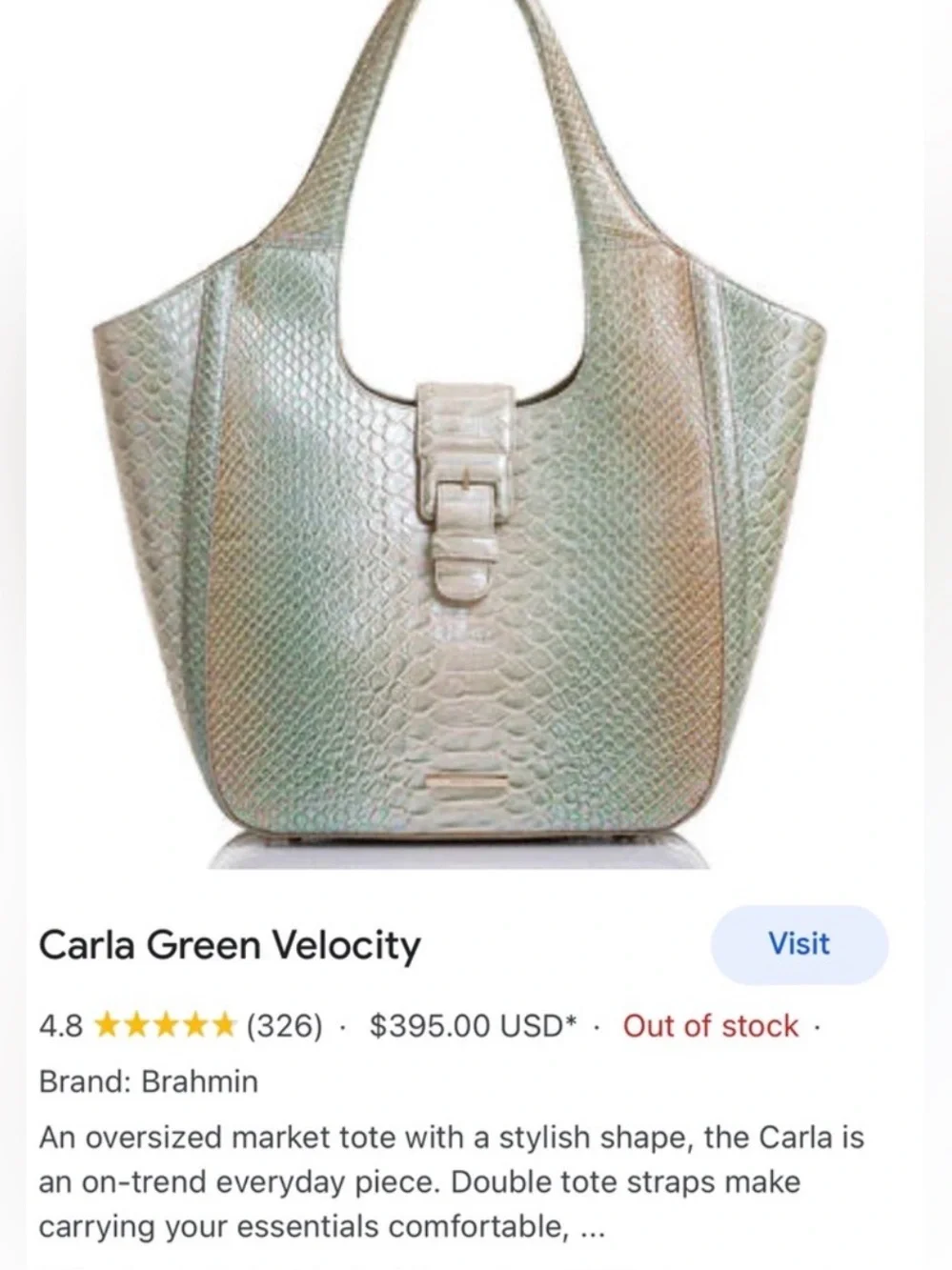 Brahmin NWT Large Carla Market Tote in Green Velocity — Rare!